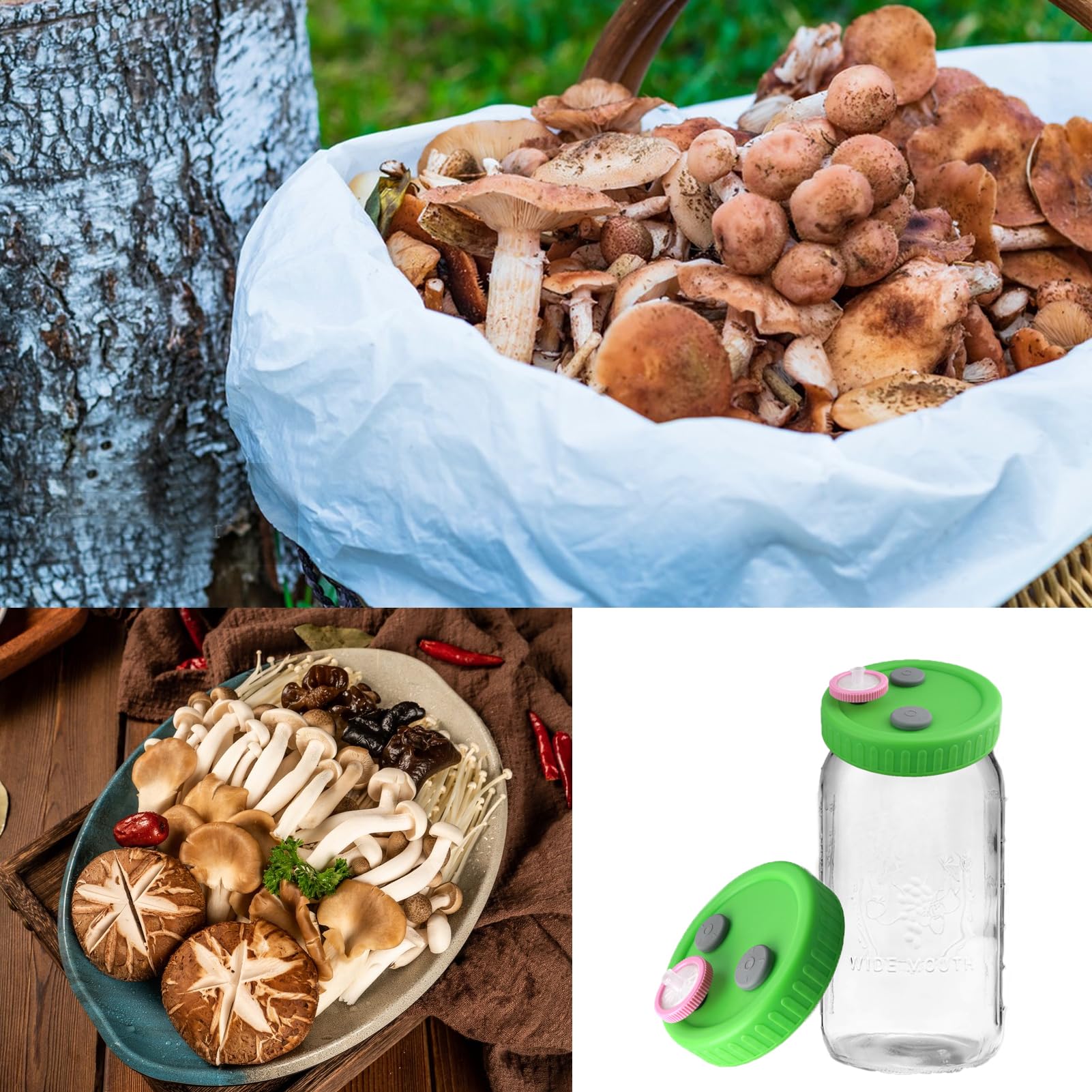 10 tapas de cultivo líquido de hongos de boca ancha para tarro Mason con filtro PTFE de 0.22um y tapón de goma autorreparable, tapa de tarro de cultivo para cultivo de hongos
