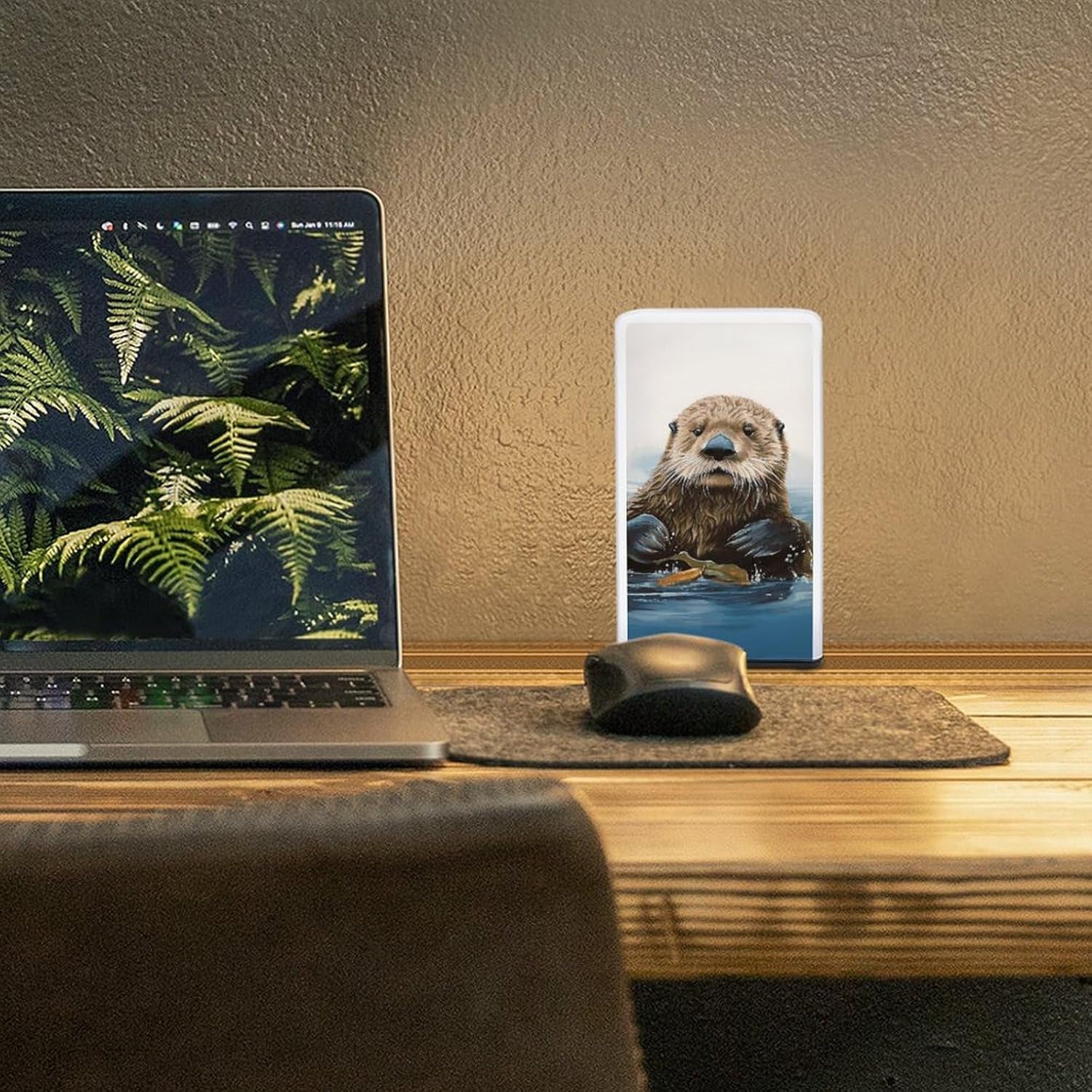 Desk Lamp for Office Home Dimmable Small Desk Lamp Sea Otter Battery Operated Lamp for Reading Study Work