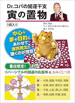 81KM9a3fqhL._AC_UF350,