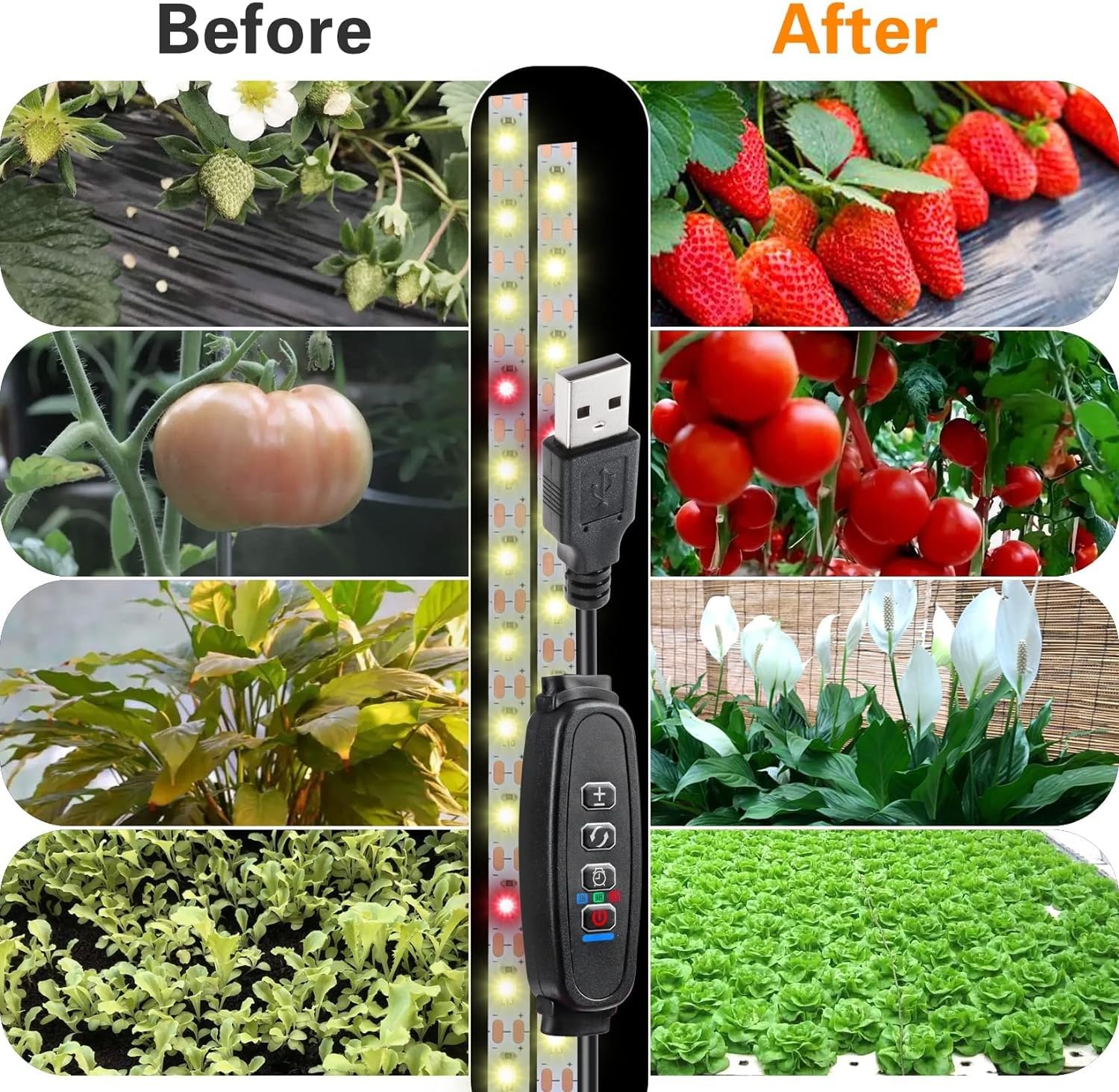 Luci per piante da interno, 120LED impermeabili a LED a spettro completo, USB plug-in dimmerabile, accensione e spegnimento automatico con 3timer per piante, per piante da interno, semina di fiori (2)