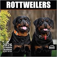 Vista 37 de MICASA PRESS Corgi Butts - Calendario de pared 2026 de 12 meses 12 x 24 pulgadas abierto Papel grueso y resistente Regalo de vacaciones