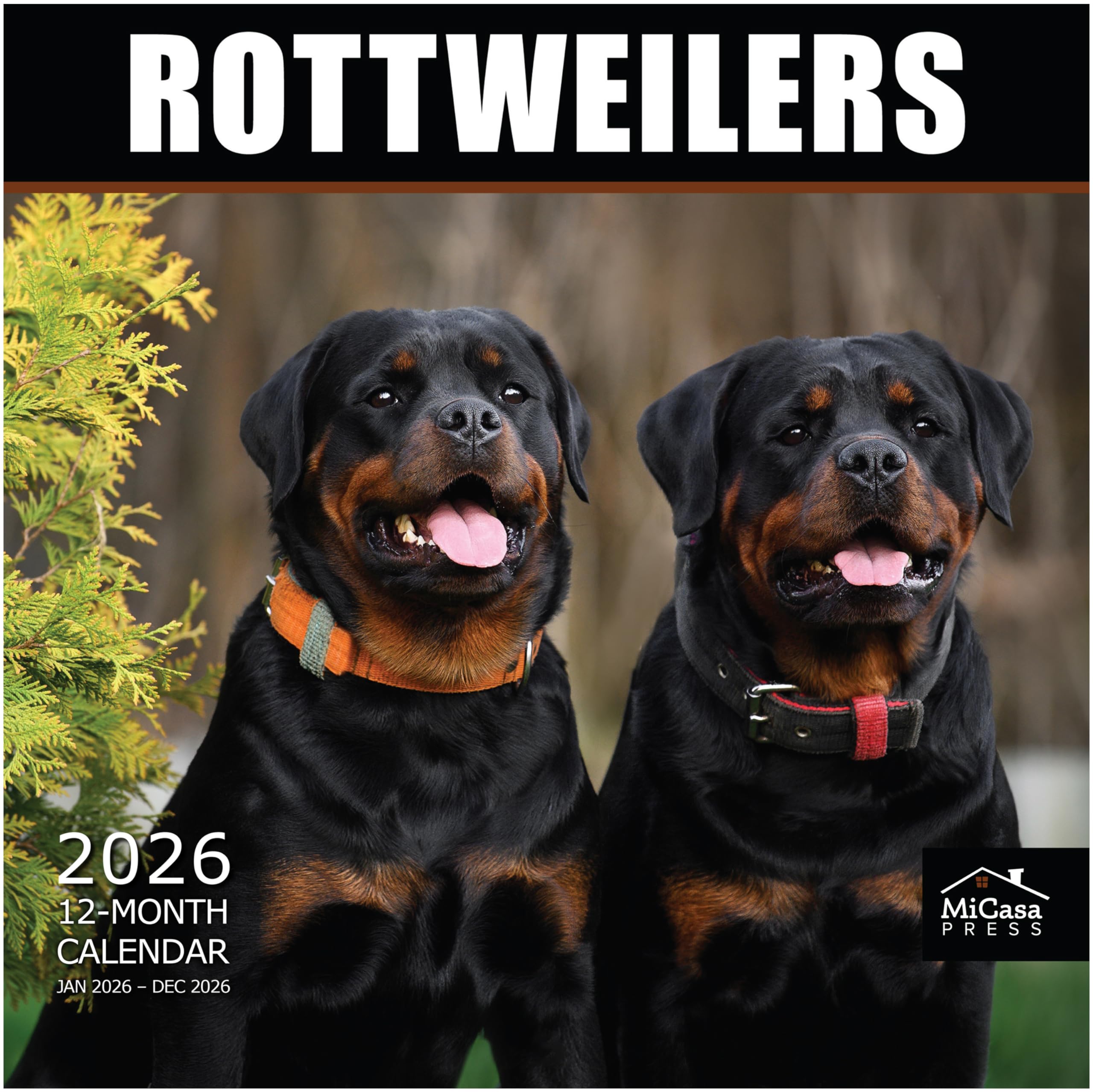 MICASA PRESS Rottweilers 2026 Wall Calendar 12 Month | 12" x 24" Open | Thick &amp; Sturdy Paper |Giftable | Cute Puppy Dog Calendar 2026