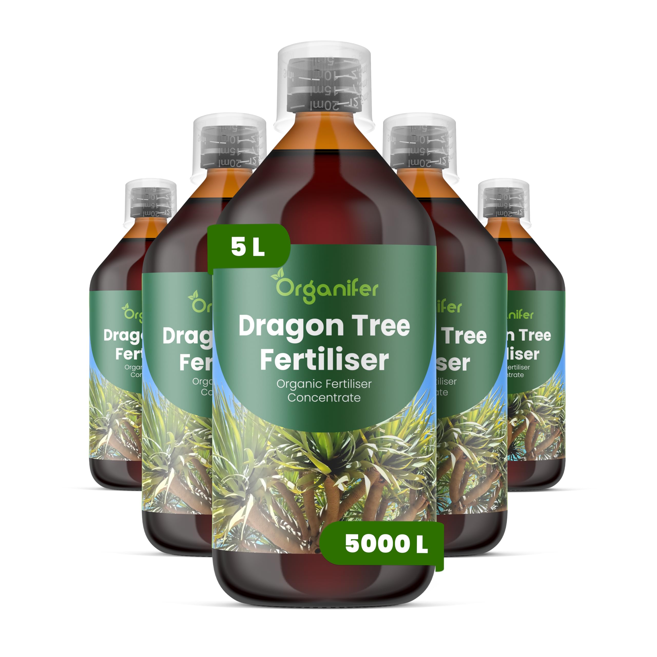 Concime Liquido - 5x1L - Per Dracaena - NPK 2-1-8
