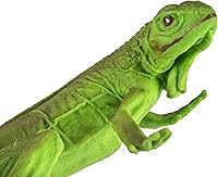 Vista 8 de Bebé iguana, colección Incredible Creatures, de la marca Safari Ltd