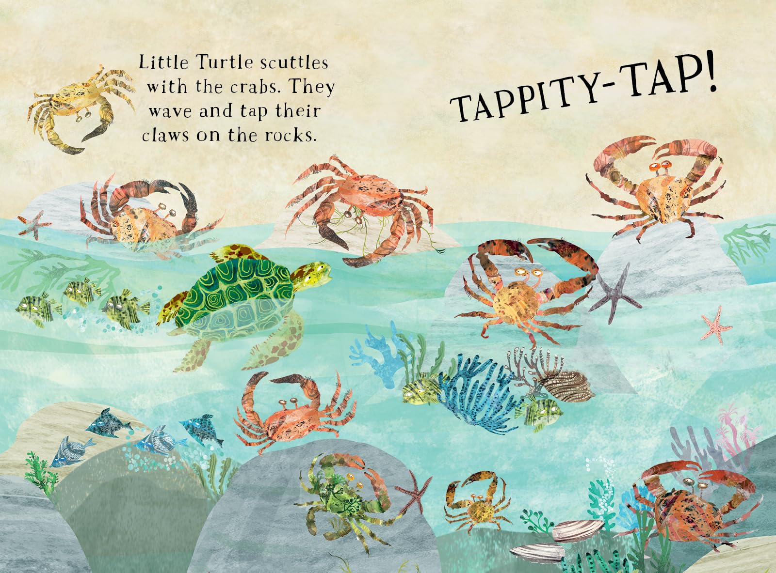 Little Turtle's Book of the Blue /anglais