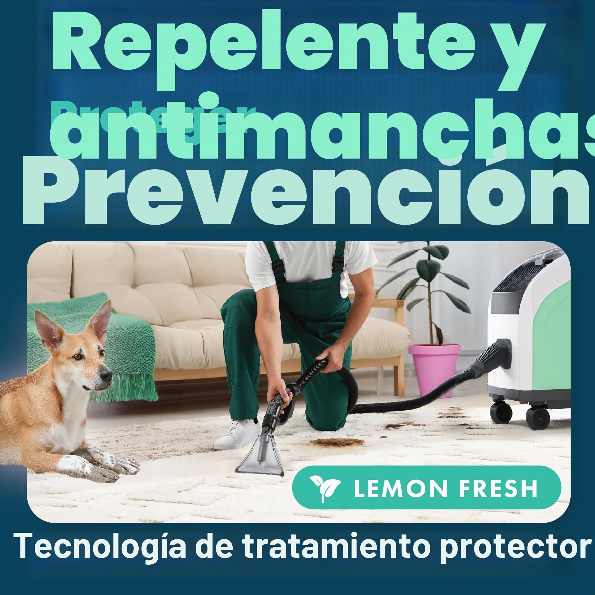Dirtbusters - Clean & Protect - 4 en 1 Limpiador, removedor de manchas, neutralizador de olores y protector. Aroma cítrico. 5 litros