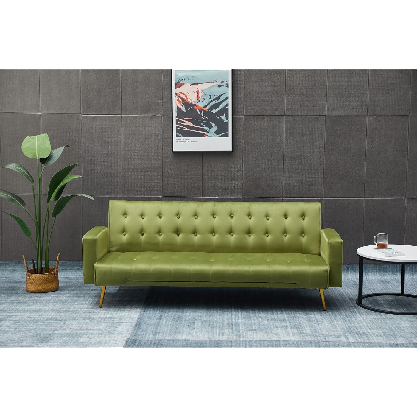Gallery image 1