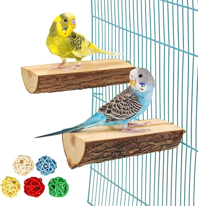 在庫一掃 インコ写真確認用 雑貨 Ecoakaryakit Com Tr