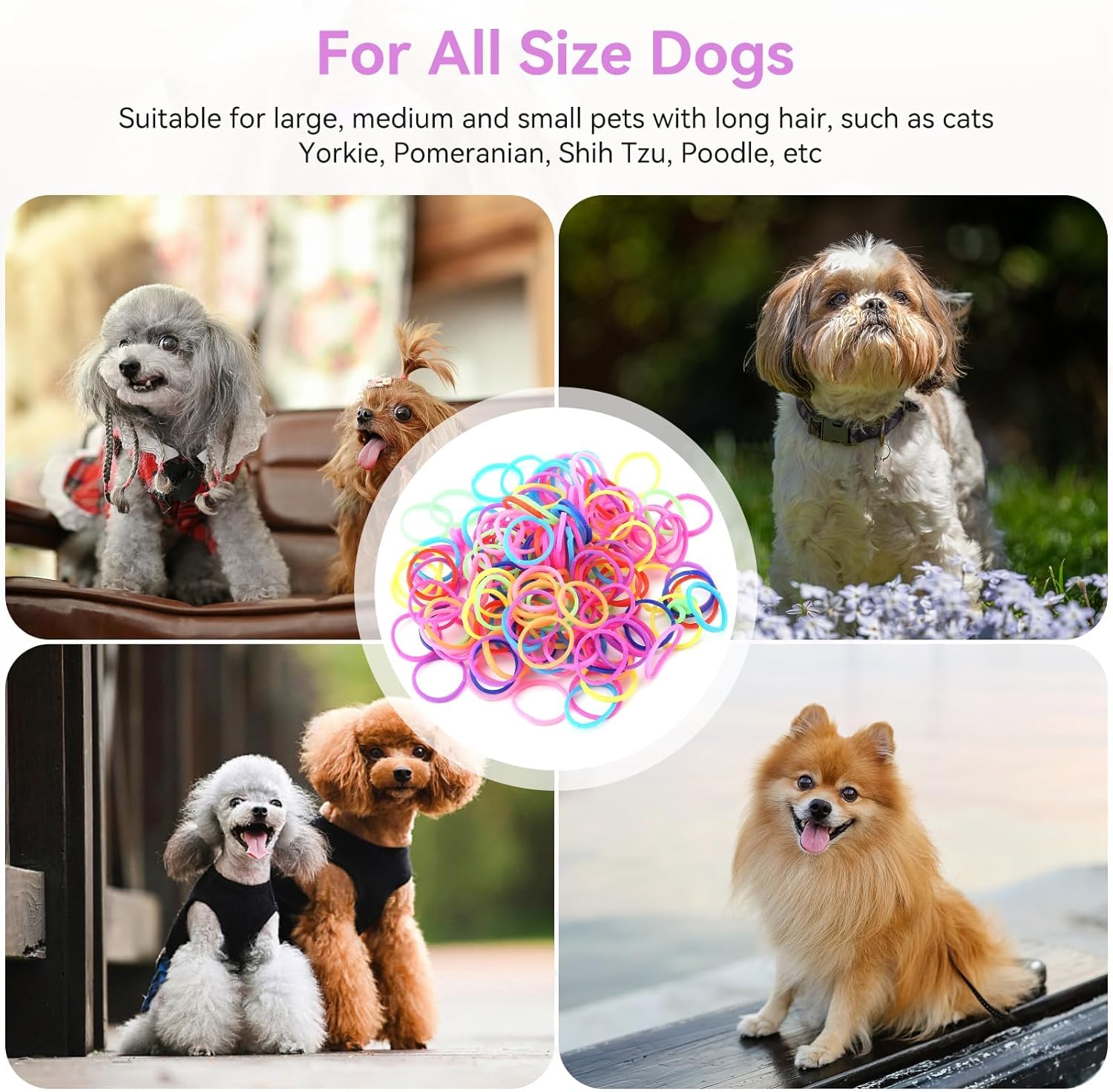 Cyrank 10 Packs of Elastic Bands for Dogs, Hair Ties for Dogs, Wool Bands for Dogs with Mini DIY Elastic Bands, Colourful Beauty Accessories for Dogs 5