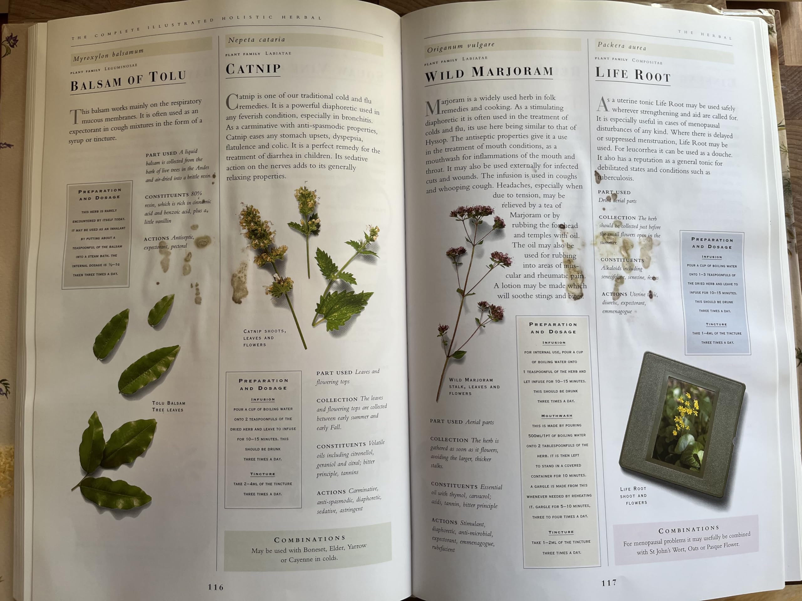 The Complete Illustrated Holistic Herbal: A Safe and Practical Guide to Making and Using Herbal Remedies