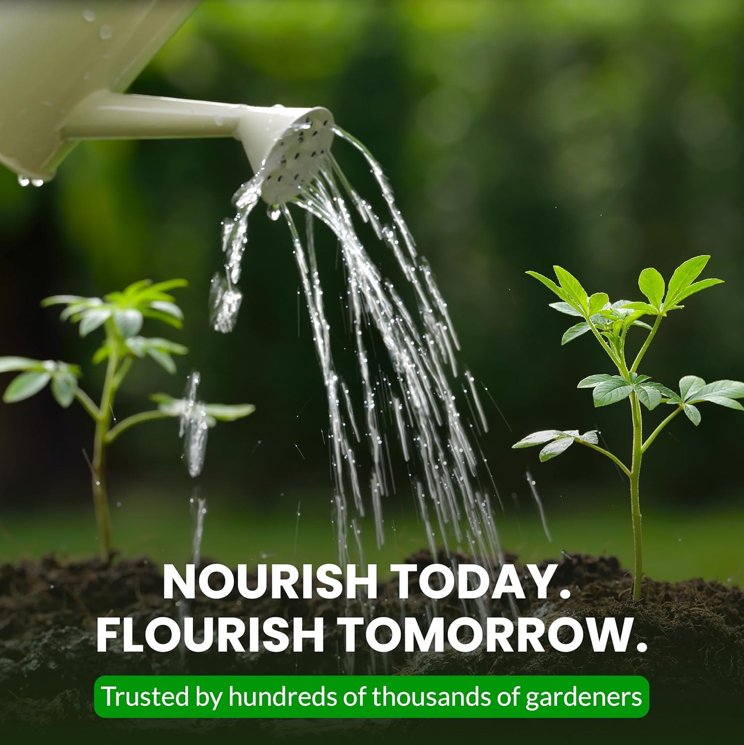 Humboldts Secret Tree Trunk | Potassium Silicate Additive | Liquid Fertilizer for Thicker Stalks, Stress Resistance & Branch Development | Indoor & Outdoor Plant Food, Hydroponic Nutrients, 32 Ounce - Image 9