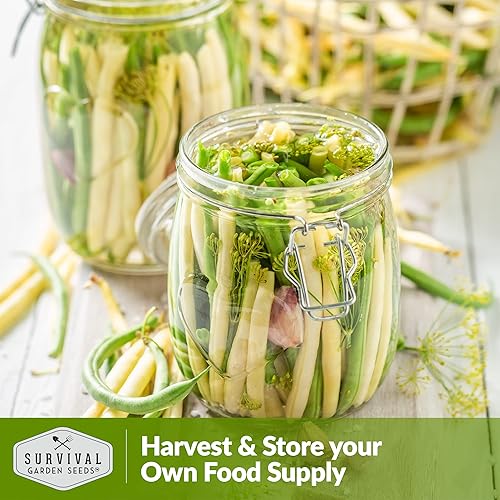 Miniatura 6 de Survival Garden Seeds - Semilla de frijol de cera dorada para plantar - 5 paquetes con instrucciones para plantar y cultivar frijoles amarillos en