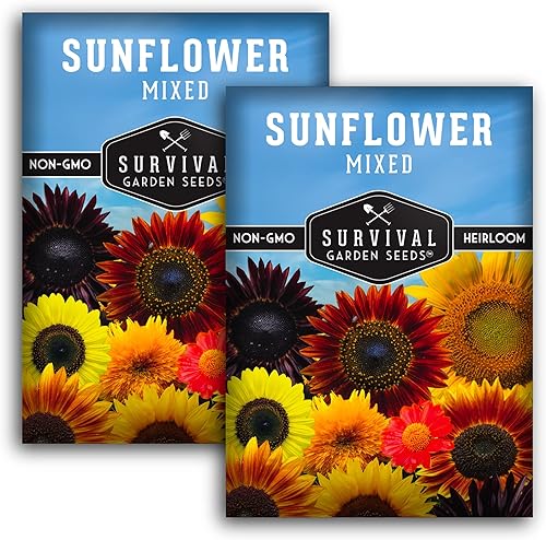 Survival Garden Seeds - Mezcla de semillas de girasol populares para plantar - 2 paquetes con instrucciones para cultivar hermosas flores en tu