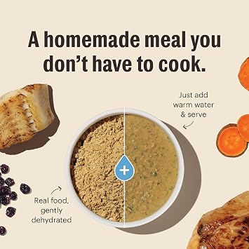 The Honest Kitchen Wholemade Dehydrated Grain Free Chicken Cat Food, Human Grade Recipe with Probiotics & Cage Free Chicken, Digestive Support, Meal or Topper for Cats, Makes 8 lbs from 2 lb Box