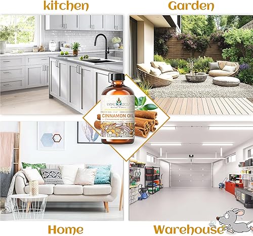 Miniatura 3 de Evoke Occu Aceite esencial de canela, 4 oz, puro, para difusor, masaje, limpieza del aire, 4 onzas líquidas