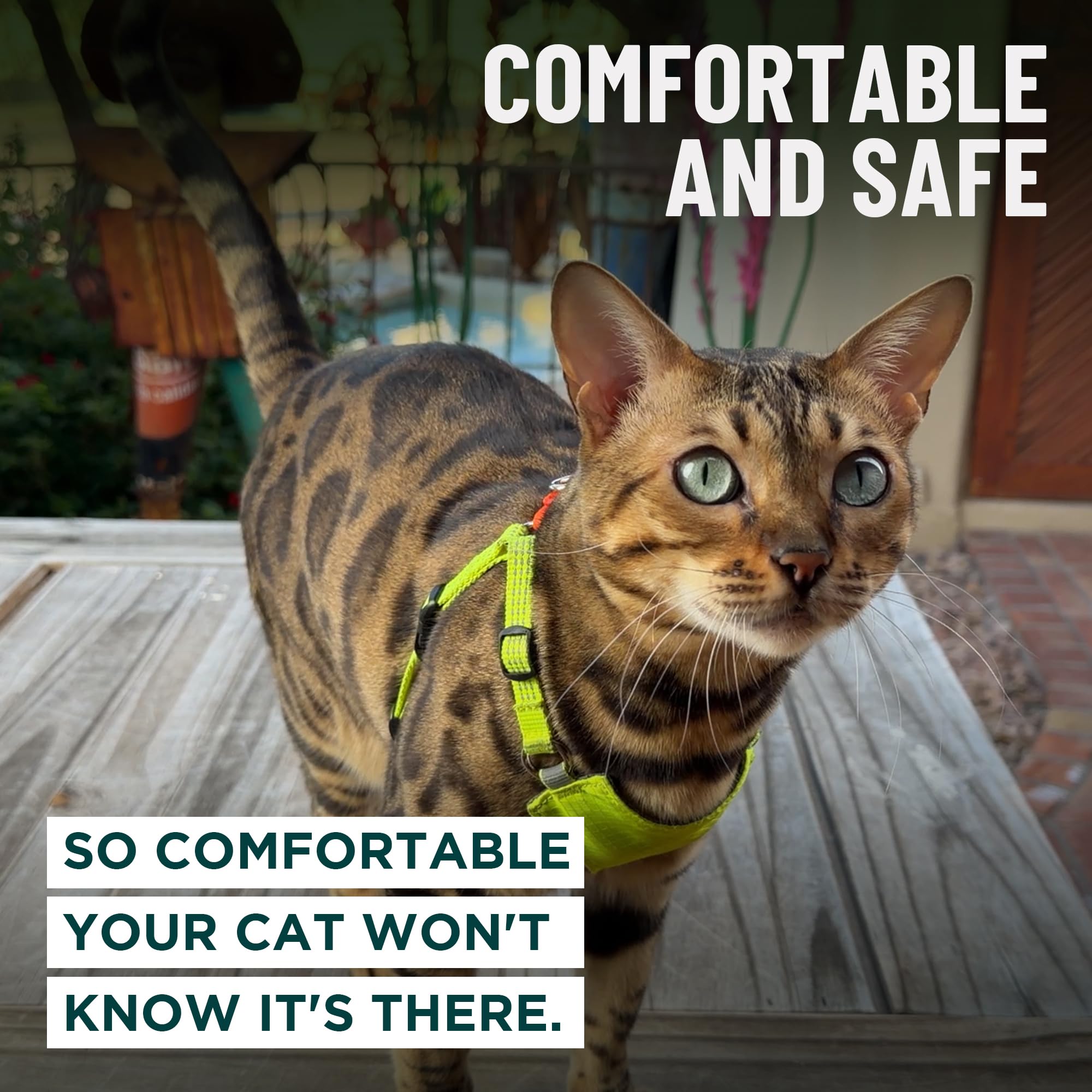 OutdoorBengal Always On™ Martingale Katzengeschirr und Leine, ausbruchsicheres Set – Weste für ganztägige Kätzchen-Abenteuer – erwachsene Katzen – Katzenleine und Geschirr ausbruchsicher + Leine