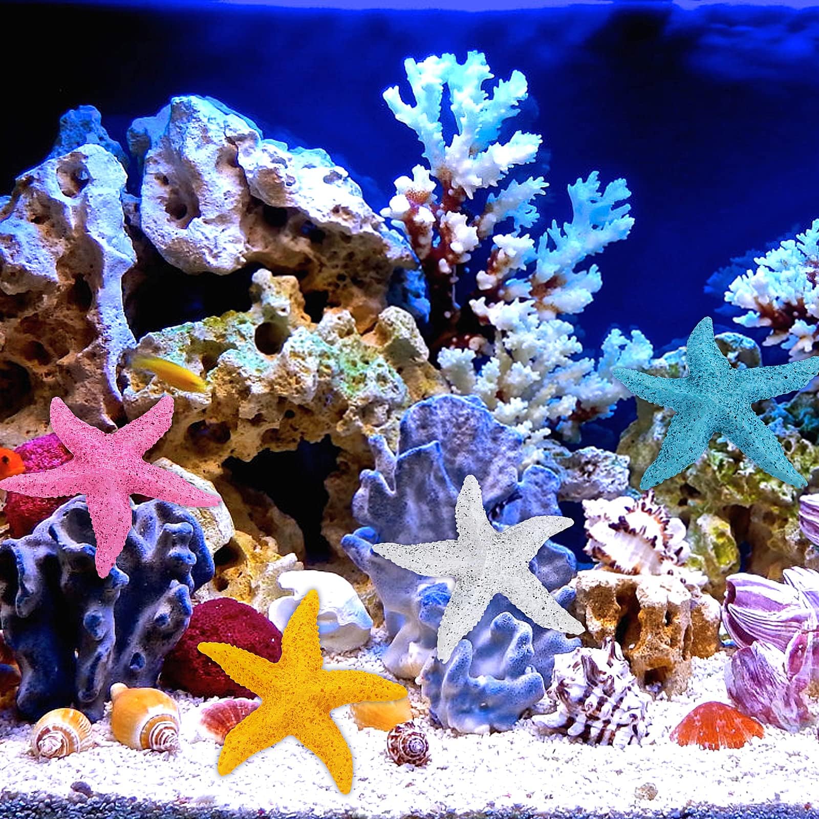 10 mini Stelle marine per Decorazione Acquario in Resina Pesci acqua O