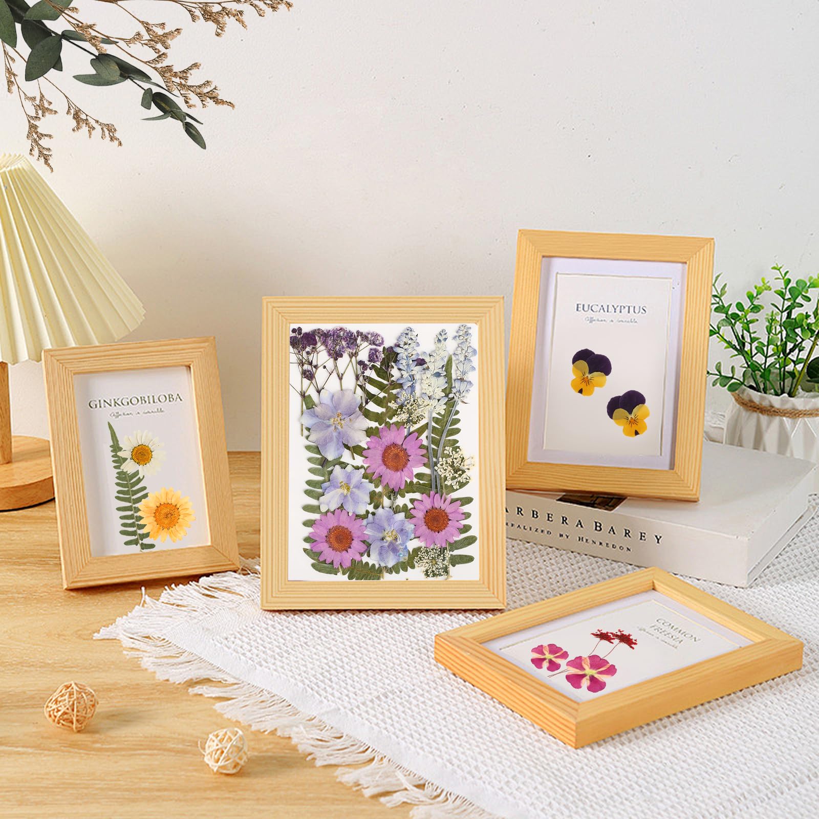 Suszone kwiaty zestaw, 66 sztuk prasowanych kwiatów i suszonych kwiatów, suszone kwiaty do robótek na świece DIY, żywica, biżuteria, małe suszone kwiaty do scrapbookingu i dekoracji.