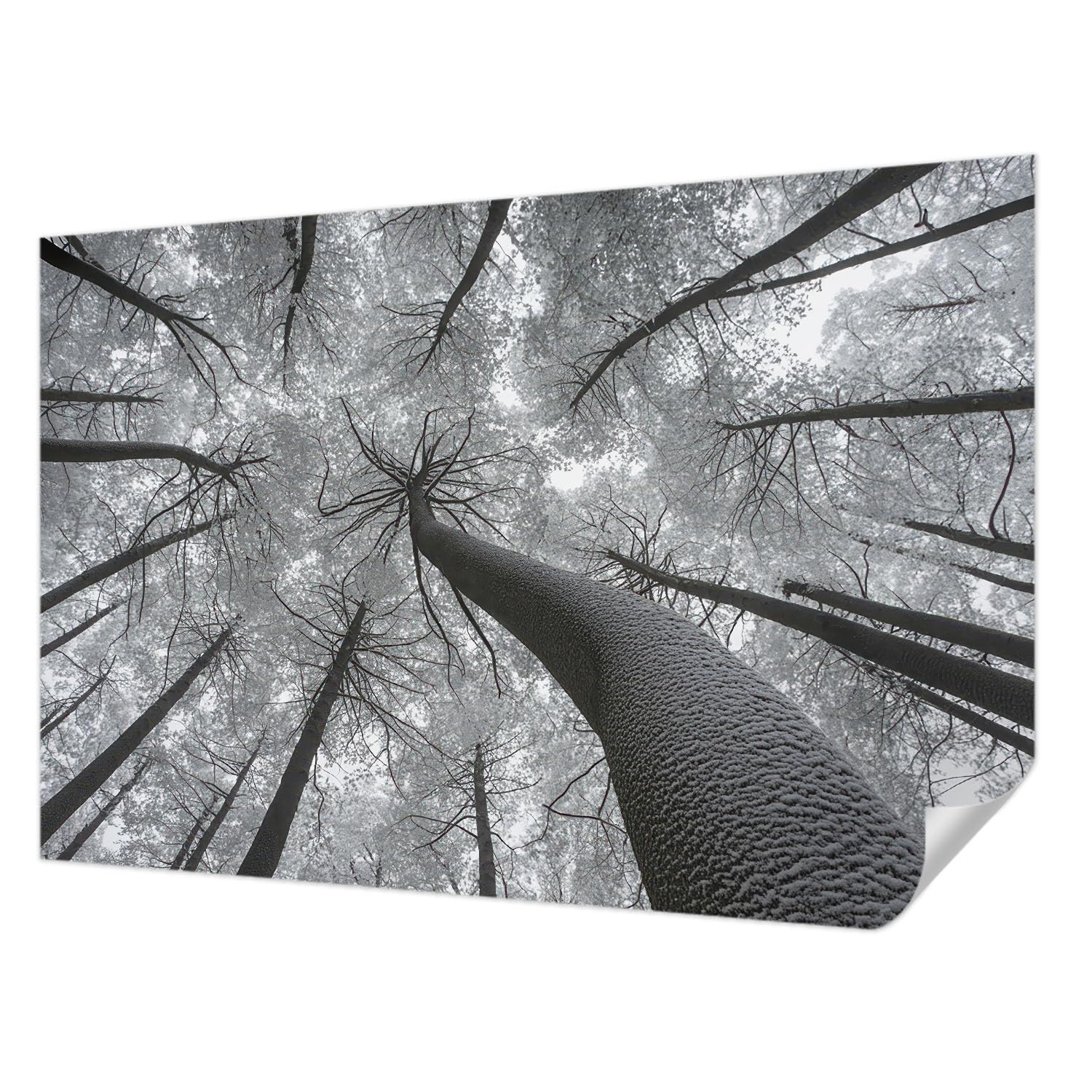 Décoration intérieure paysage d'hiver Tulup, revêtement mural autocollant 104x70 cm de salon