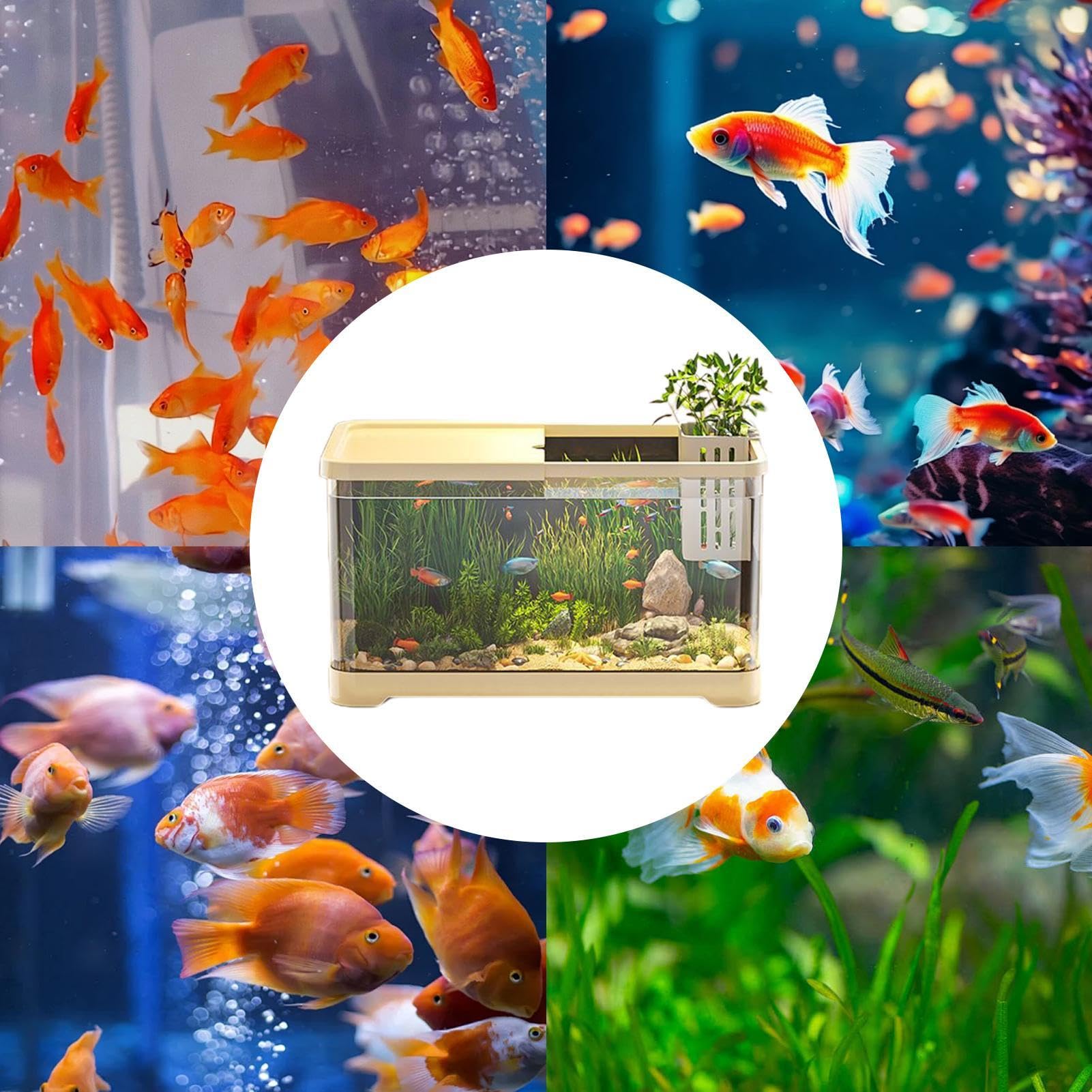 Aquarium Starterset Komplett - Mit Filter & LED Beleuchtung 37,6x21x21cm