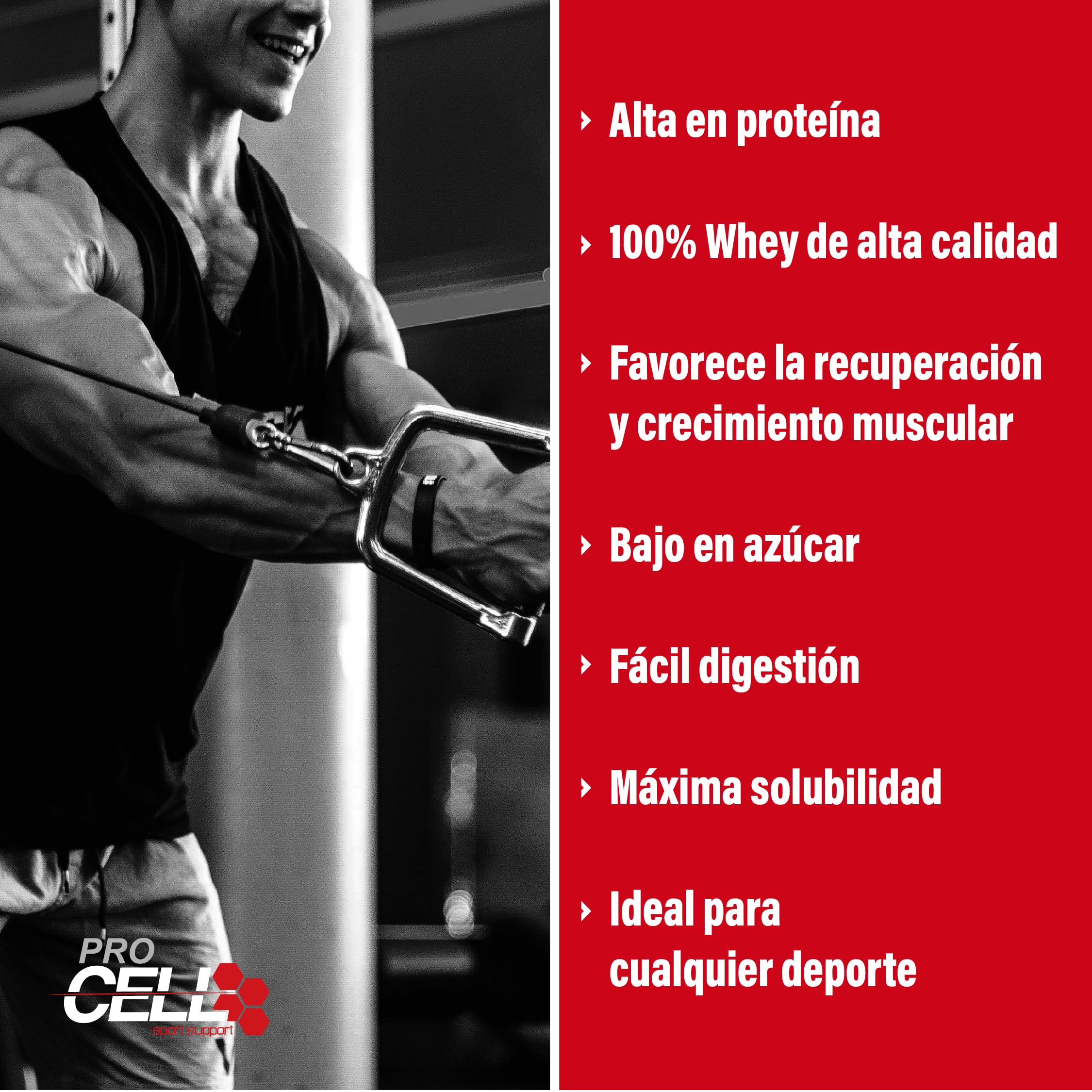 Procell Proteinas Whey 2kg (Chocolate) Zero Azúcar, 21g de Proteina, 66 Servicios Whey Protein Concentrado y Aislado de Suero - Proteinas para Masa Muscular en Polvo para Batidos