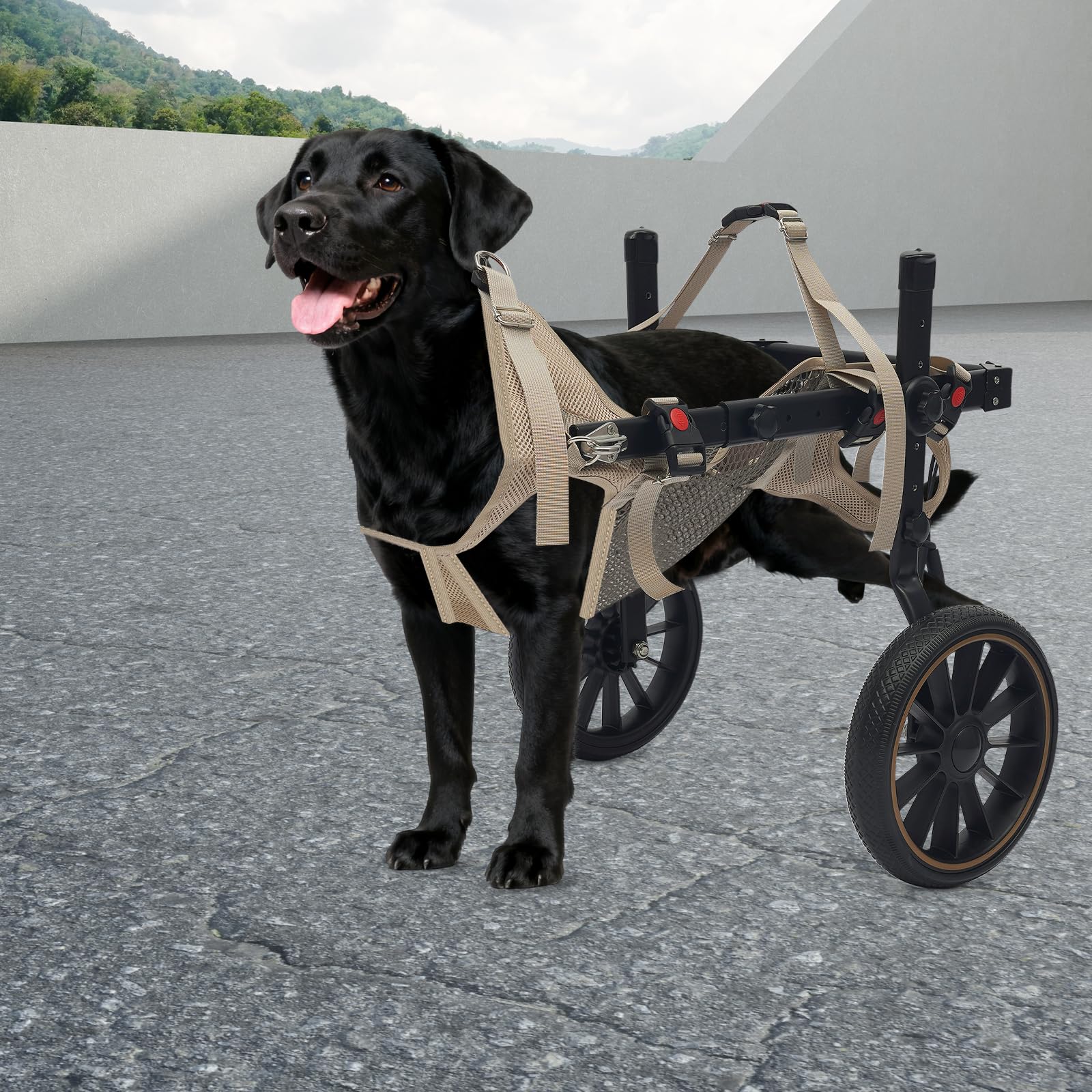 Silla de ruedas para perros XL, silla de ruedas de aluminio para perros grandes, silla de ruedas de perro ajustable, patas traseras, ruedas de goma antivibración, tejido de malla