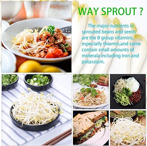 Miniatura 8 de Tapas de brotación, 20 tapas de tarro de germinación de acero inoxidable 316, kit de germinación para tarros de boca ancha, tapas de kit de