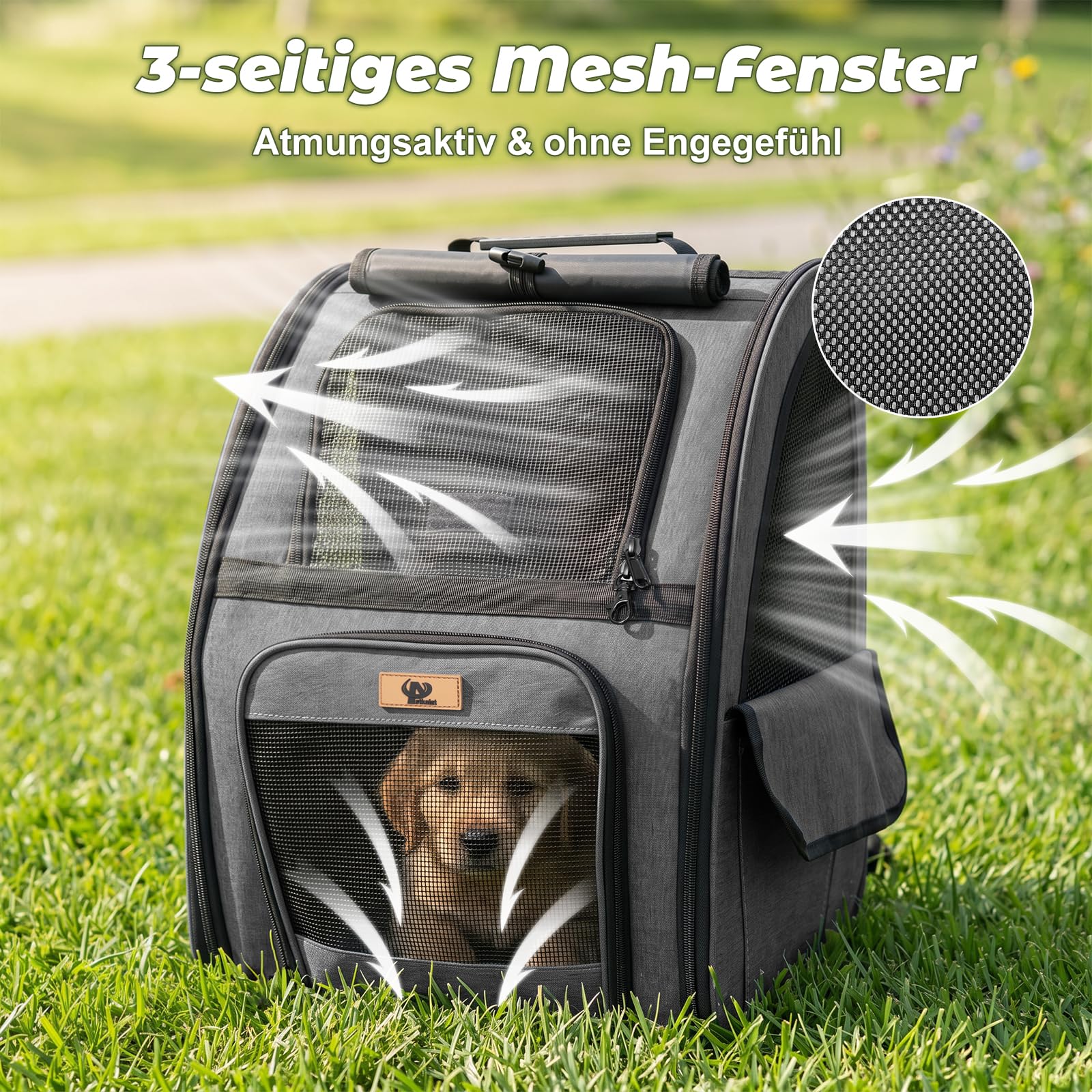 Aystkniet Katzenrucksack & Hunderucksack bis 10kg, Große Haustier Transporttasche mit 270° Belüftung, 3 Öffnungen, Faltbar, Atmungsaktiv für Reisen, Wandern, Flugzeug & Tierarzt