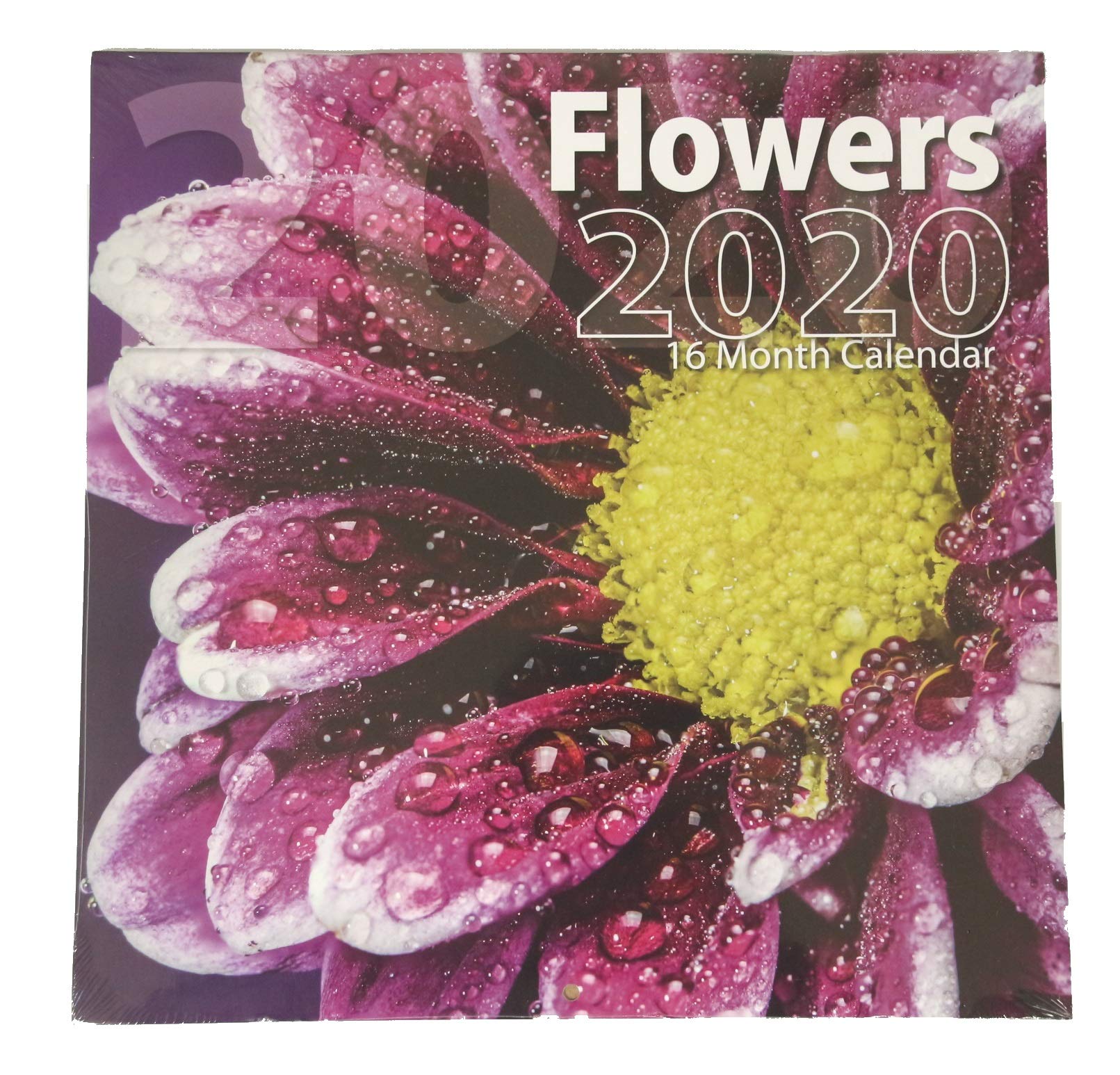 Bachmann Press 2020 Wall Calendar 12" x 24" 12 inch x 24 inch