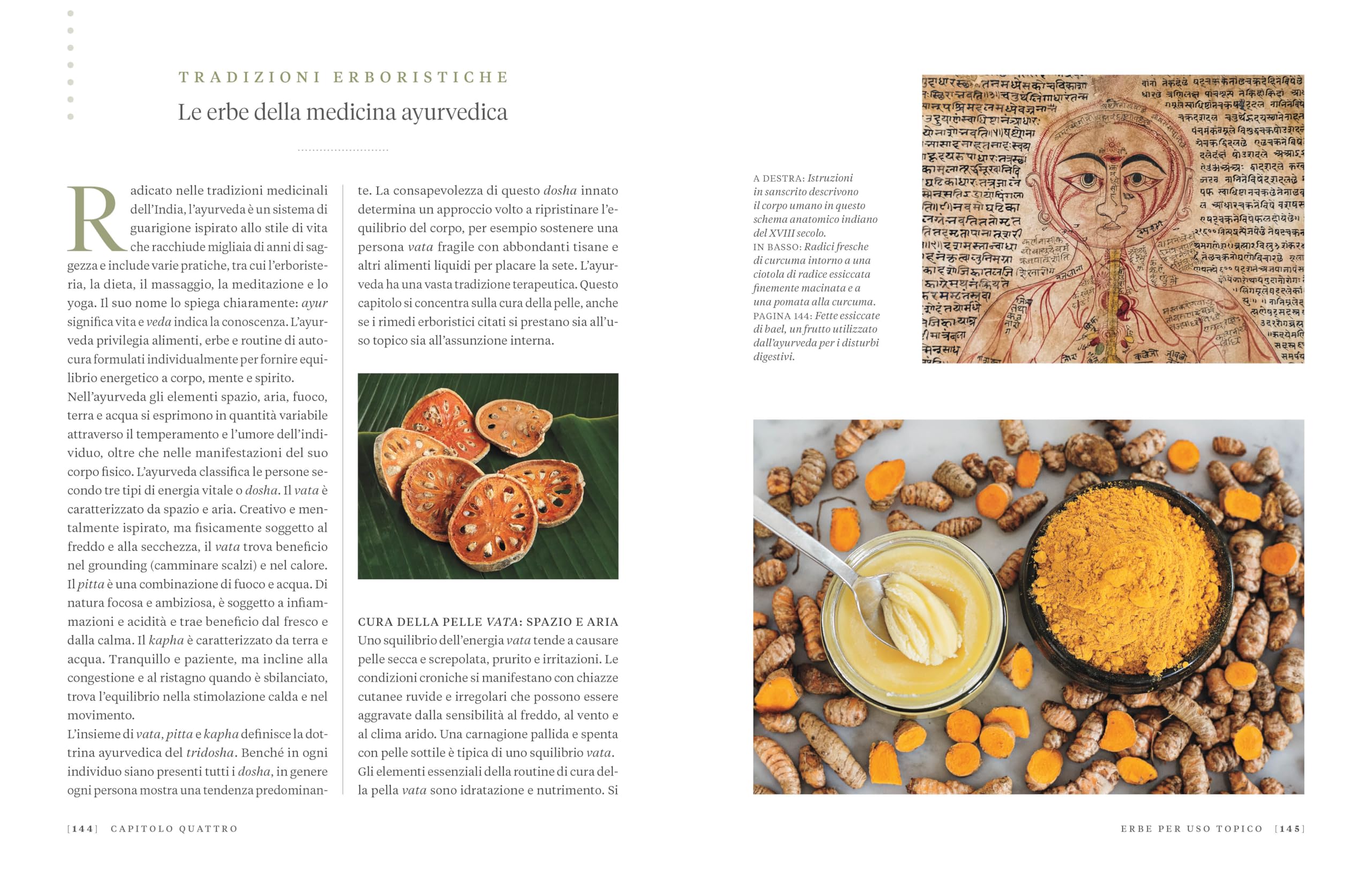 Erbario. Guida completa alle piante officinali e ai loro benefici