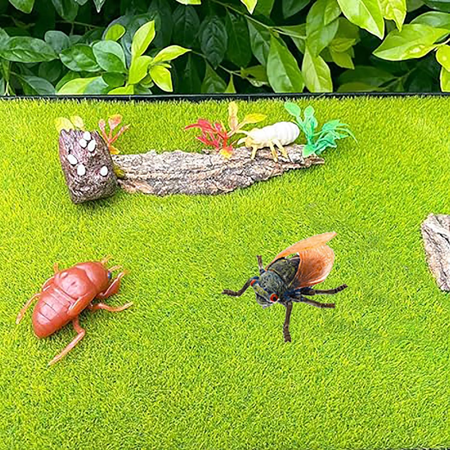 Set De 4 Figuras De Cigarra Realistas De ABS | Modelo De Ciclo De Vida De Insectos | Juguete Educativo STEM Para Niños