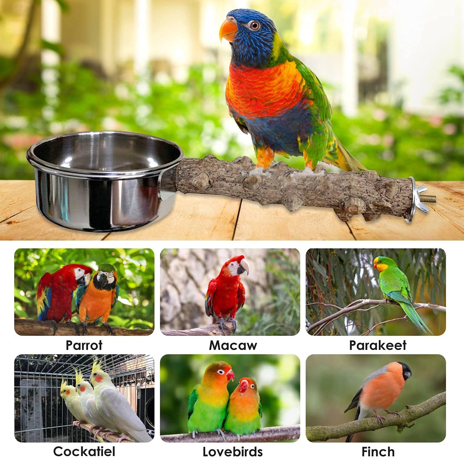 Futternapf Wellensittich Edelstahl Zum Einhngen,  Vogelfutter-Wassernapf-Futterbecher Mit Clip Und Papageienzweig-Barsch,  Wasser Trinken Und Essen Auf Nymphensittiche, Sittiche, Kakadus Anwenden :  Amazon.de: Haustier