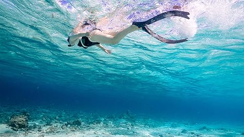 Miniatura 7 de Aletas de buceo de hoja larga de bolsillo completo para apnea y pesca submarina Aletas de buceo gratis, diseñadas y fabricadas en Hong Kong