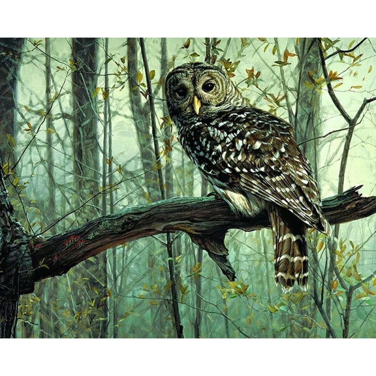 Rompecabezas De Madera 6000 Piezas búho Juego De Rompecabezas para Familiar Tamaño Final 179×105cm