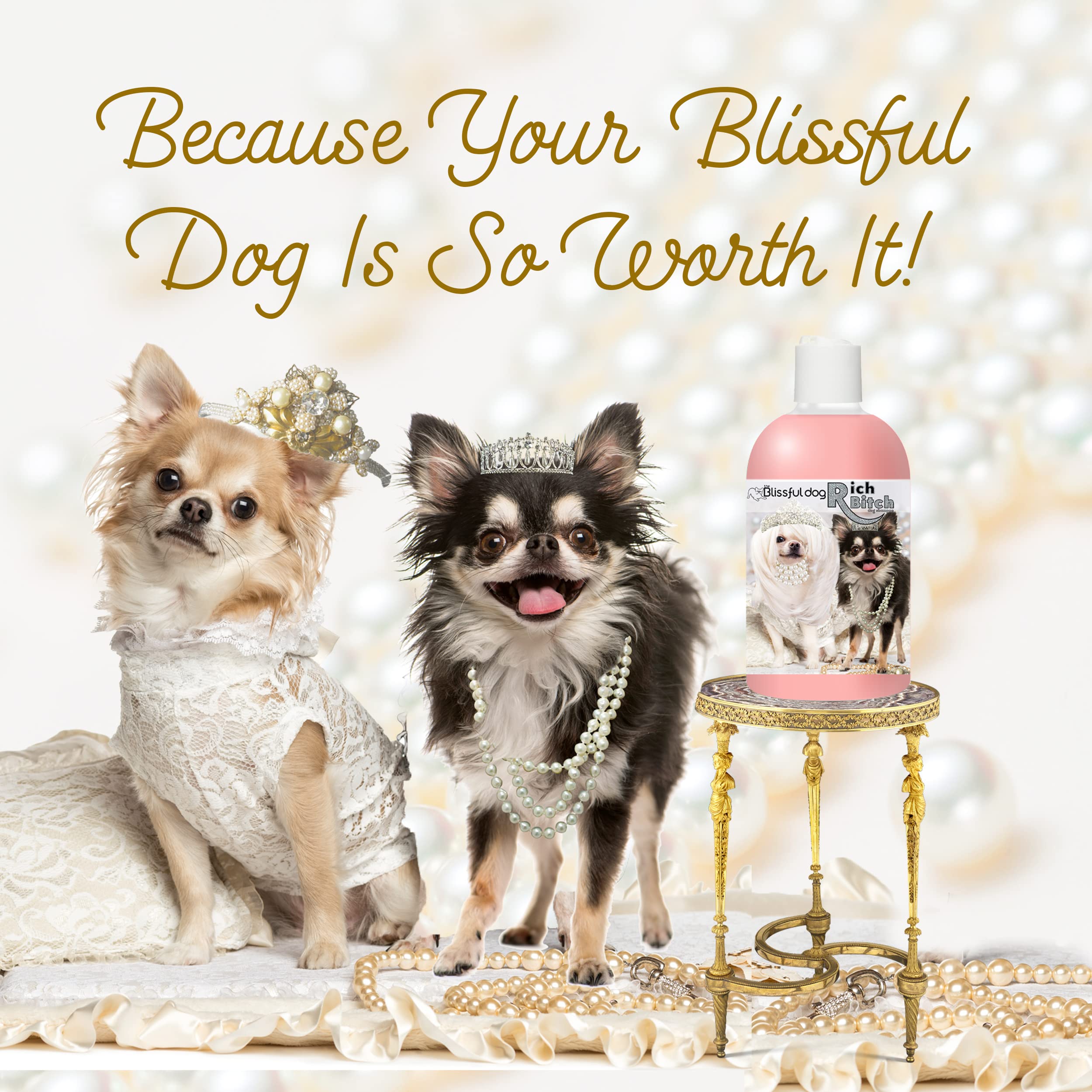 most expensive dog shampoo