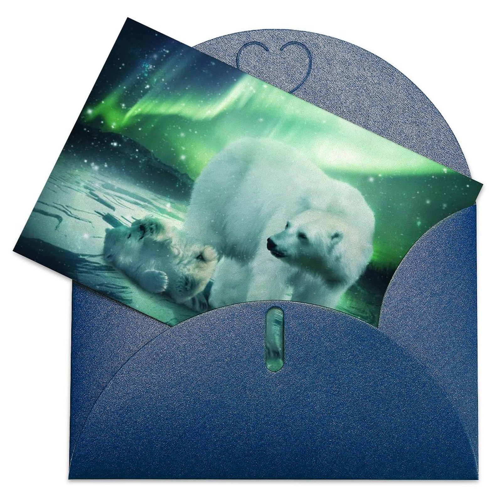 Polar Bear Greeting Card Sets Wandering Polar Bear Greeting Card
