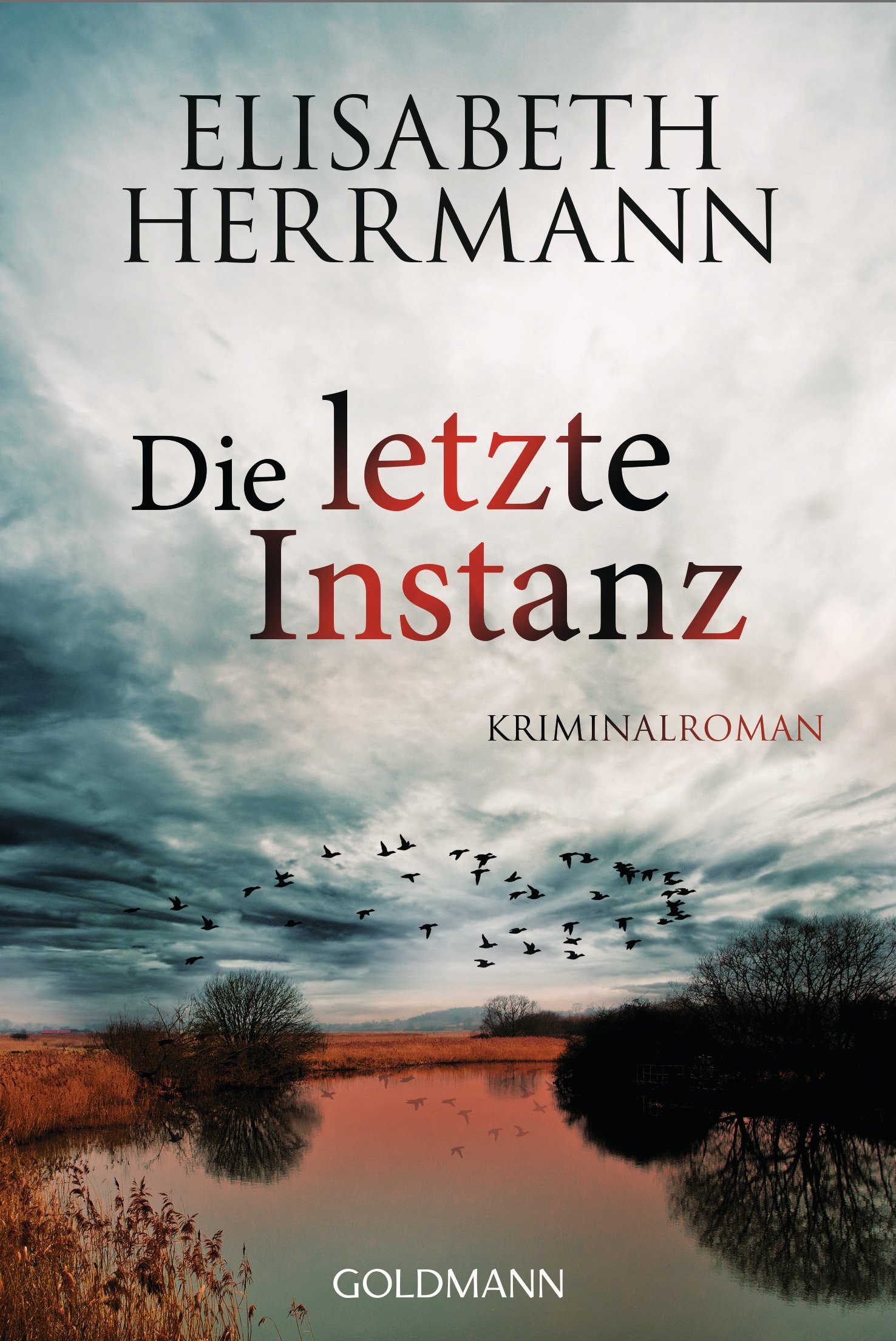 Die letzte Instanz: Kriminalroman