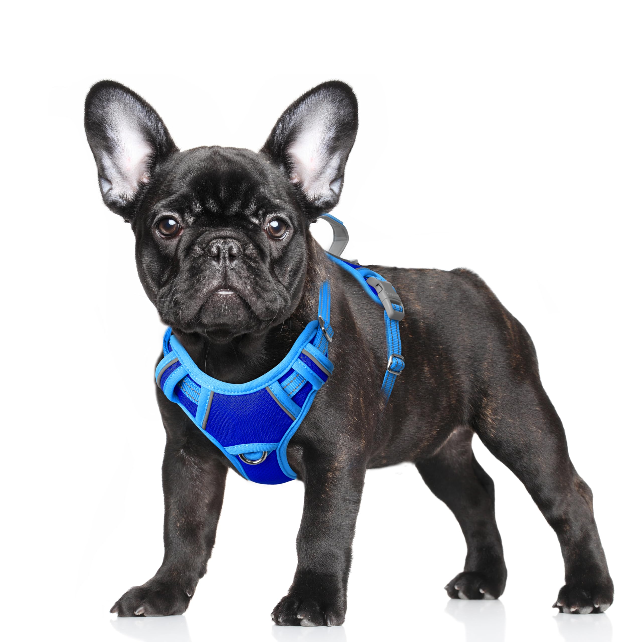 BARKBAY No Pull Dog Harness Large Reflective Dog Harness with Front Clip and Easy Control Handle for Walking Training Running with ID tag Pocket(Sapphire Blue & Blue,S)