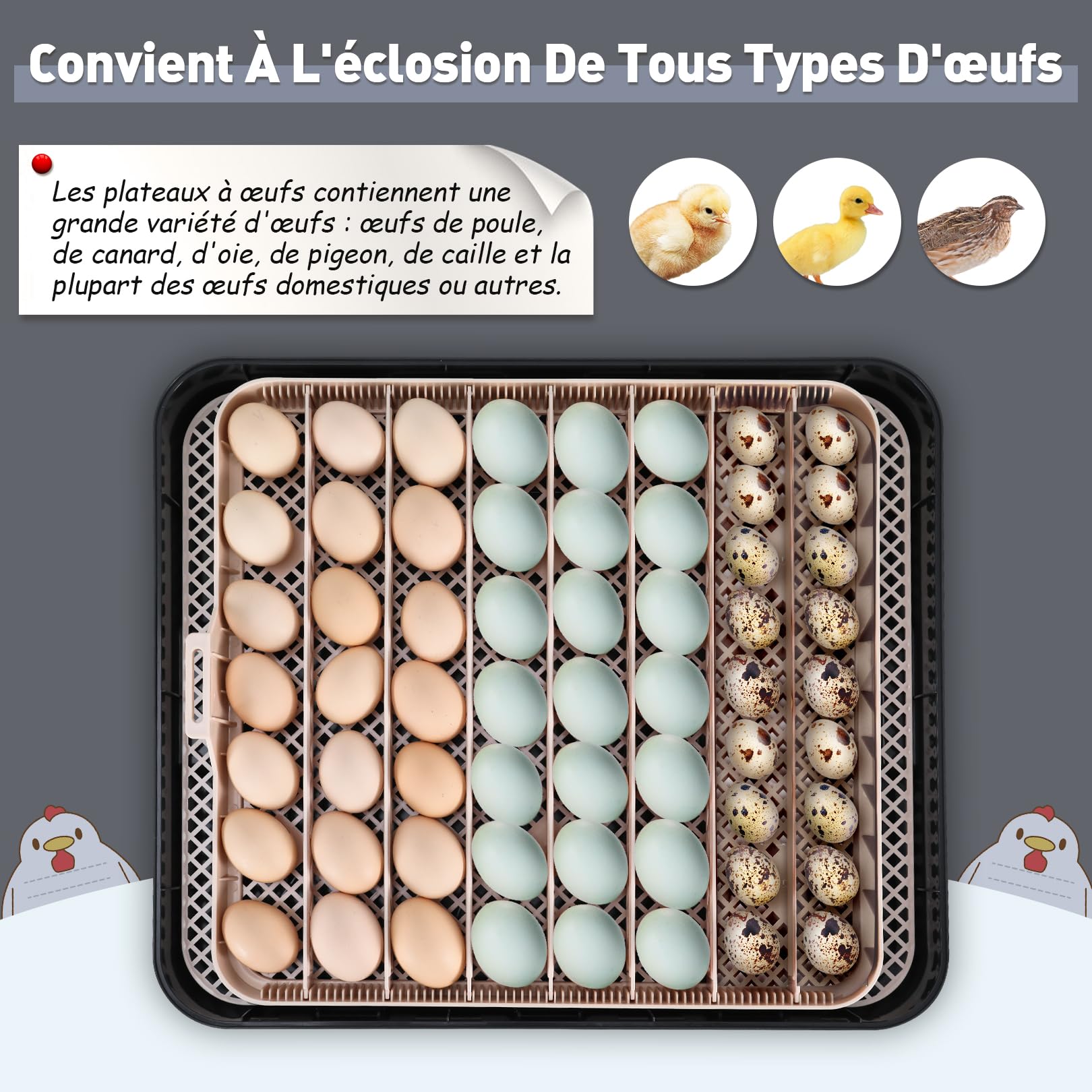 Sailnovo Couveuse 56 Oeufs Incubateur Oeuf Automatique avec Retournement Automatique des Oeufs et Humidification Automatique, Parfait pour les laboratoires, les écoles et les fermes, Gris