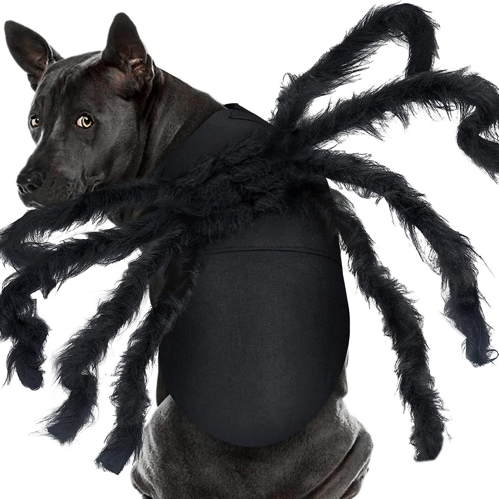 Costume d'araignée pour chien avec structure légère et pattes souples