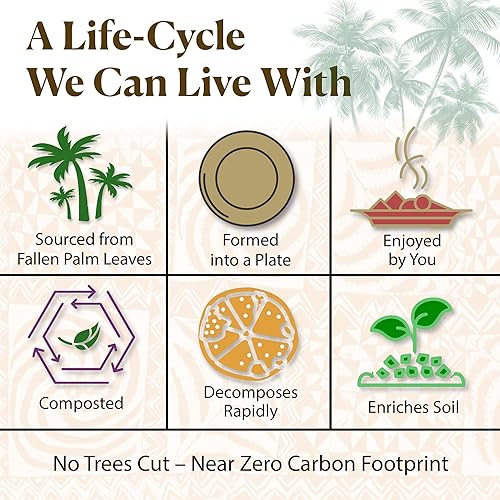 Miniatura 9 de Platos desechables de hoja de palma, cuadrados de 6 pulgadas paquete de 50 100% compostables, alternativa ecológica al papel o al bambú,