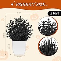 Vista 3 de Der Rose Paquete de 2 Pequeñas Plantas Falsas Negras Mini Plantas Artificiales en Maceta para Decoración de Halloween Mesa Escritorio Hogar Oficina