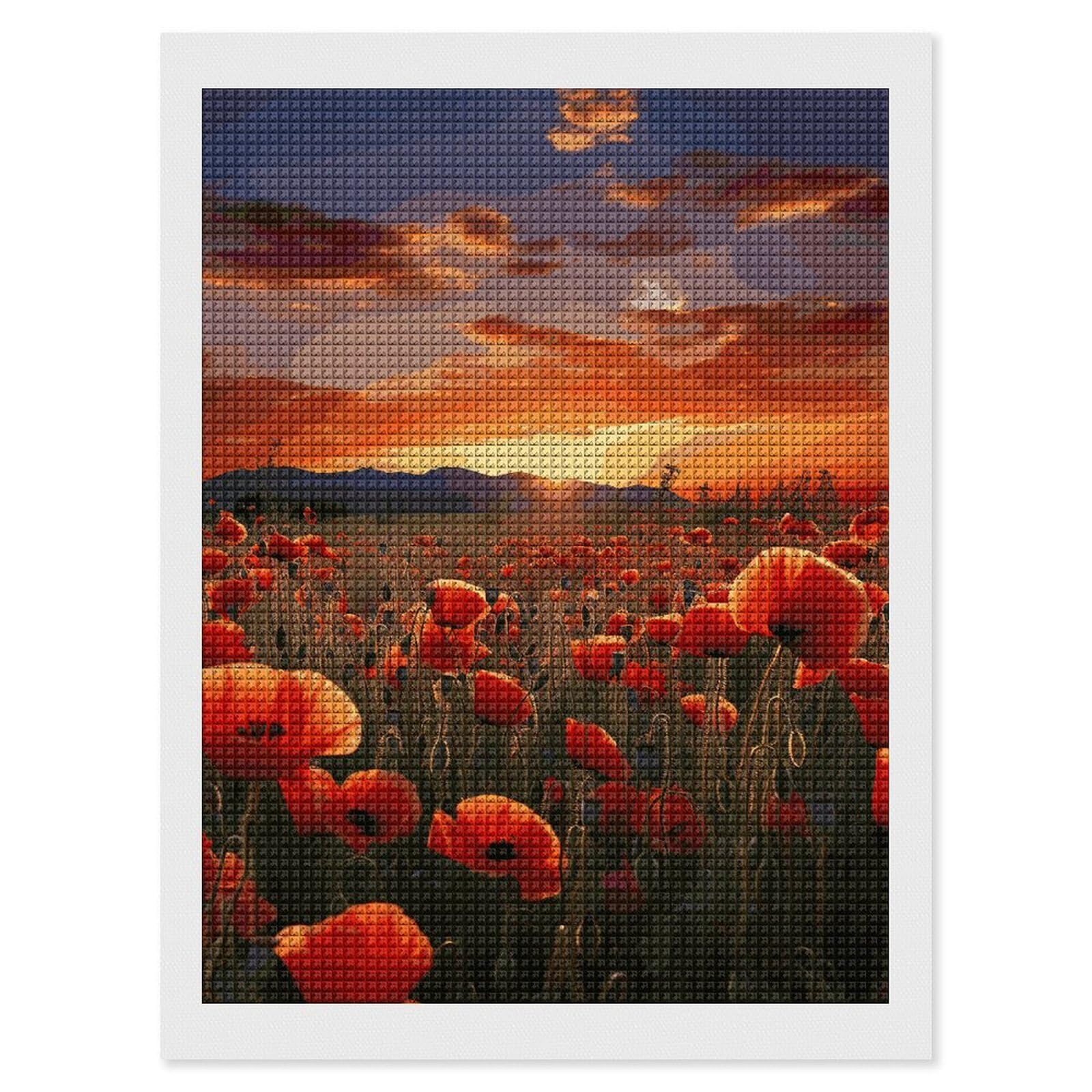 5D DIY Diamond Picture Art Schilderij Poppy Bloemen Set, Volledige Vierkante Boor, Crystal Art Kits voor Volwassenen, Genummerde Kruissteek Foto's voor Kinderen & Beginner, Wall Art Home Decor
