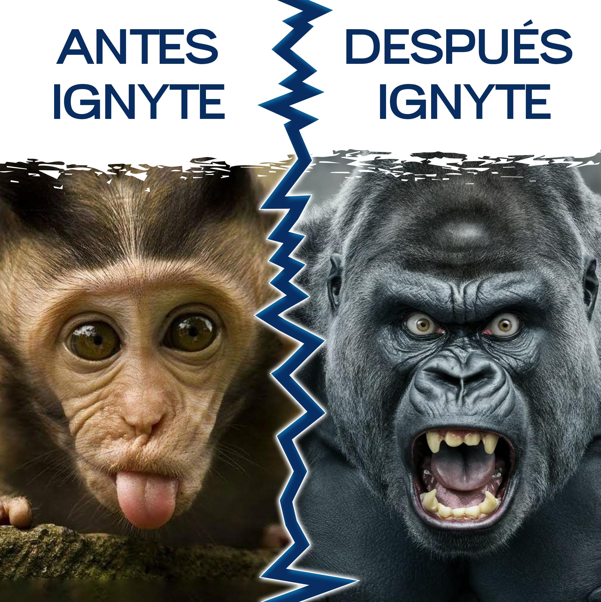 IGNYTE – Fórmula potente para hombres activos – Efecto rápido – Potenciador de rendimiento natural para la energía y la resistencia – Con ginseng, arginina, citrulina y vitamina C – 10 unidades