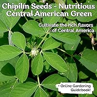 Vista 2 de KVITER 30 semillas de chipilin (Crotalaria Longirostrata) – Semillas de Chipilin para Sembrar – Semillas de reliquia orgánicas raras, semillas