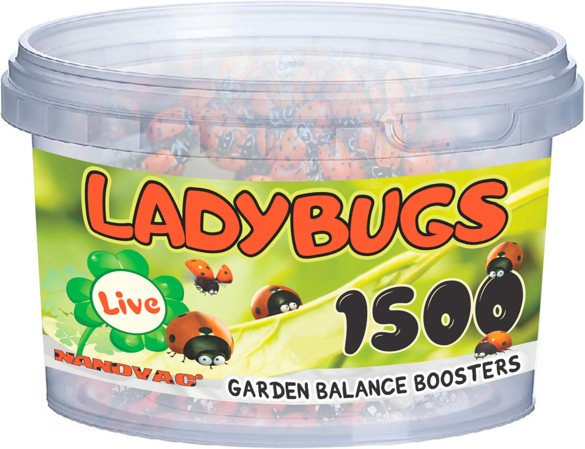1500 Ladybugs Live for Garden - Hippodamia Convergens - Live Lady Bugs in a Container (1500)