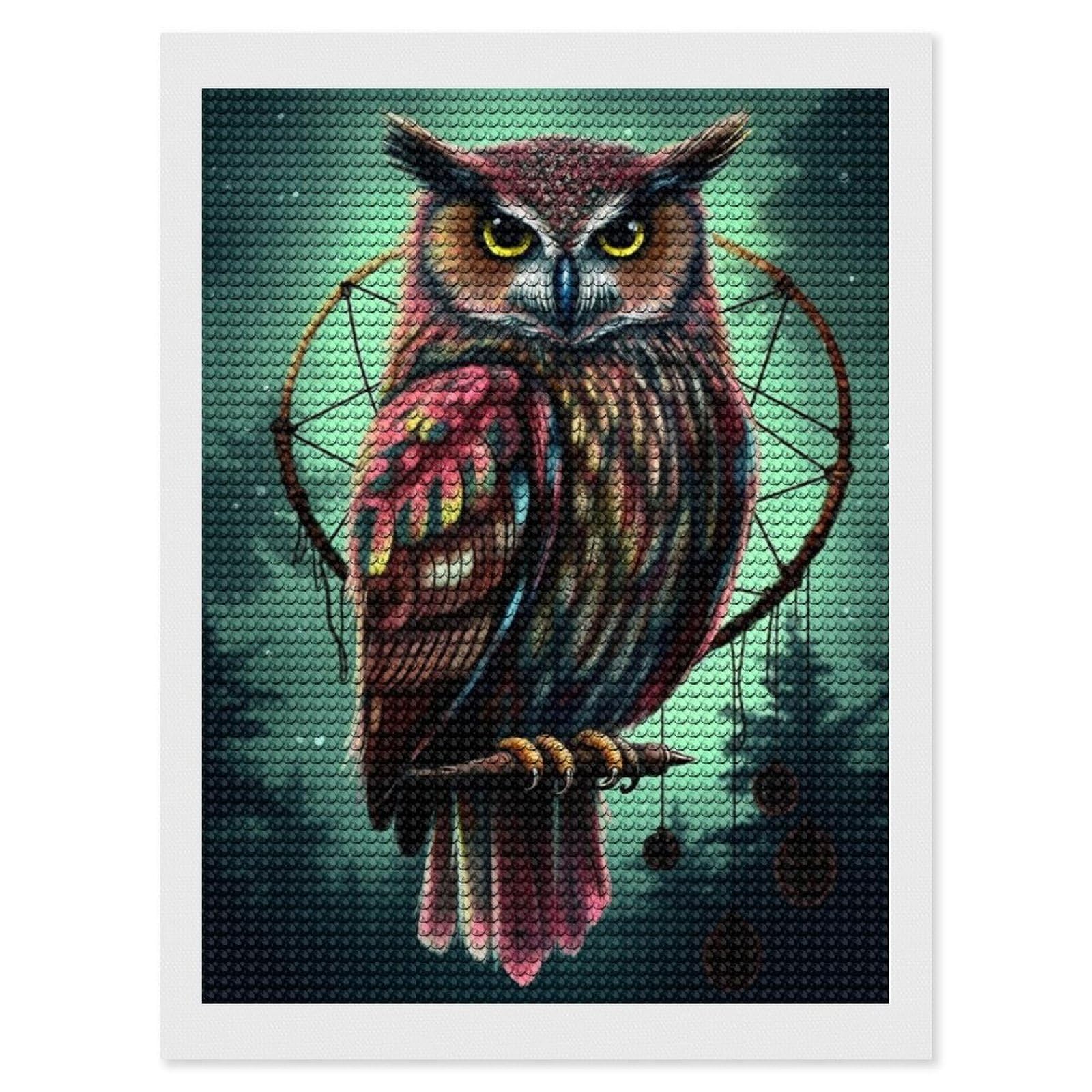 Owl Diamond Art Kits for Adults, DIY 5D Diamonds Painting Kits for Beginner, Round Full Drill Diamond Dots Painting, Diamonds Pictures Gem Art and Crafts Wall Decor 12"x16"