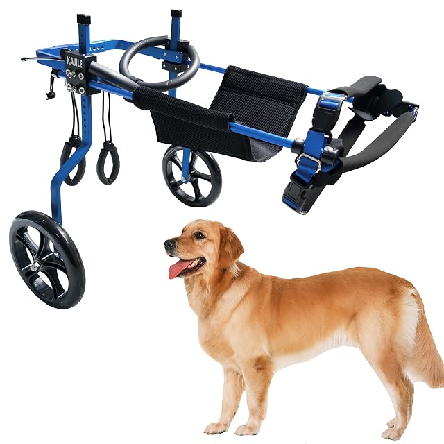 KAJILE Silla Ruedas Perros, Rehabilitación Patas Traseras, Azul,XXL-3