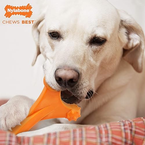 Miniatura 2 de Nylabone Power Chew DuraChew Axis Bone Dog Chew Juguete para masticar tocino XLSouper 1 unidad