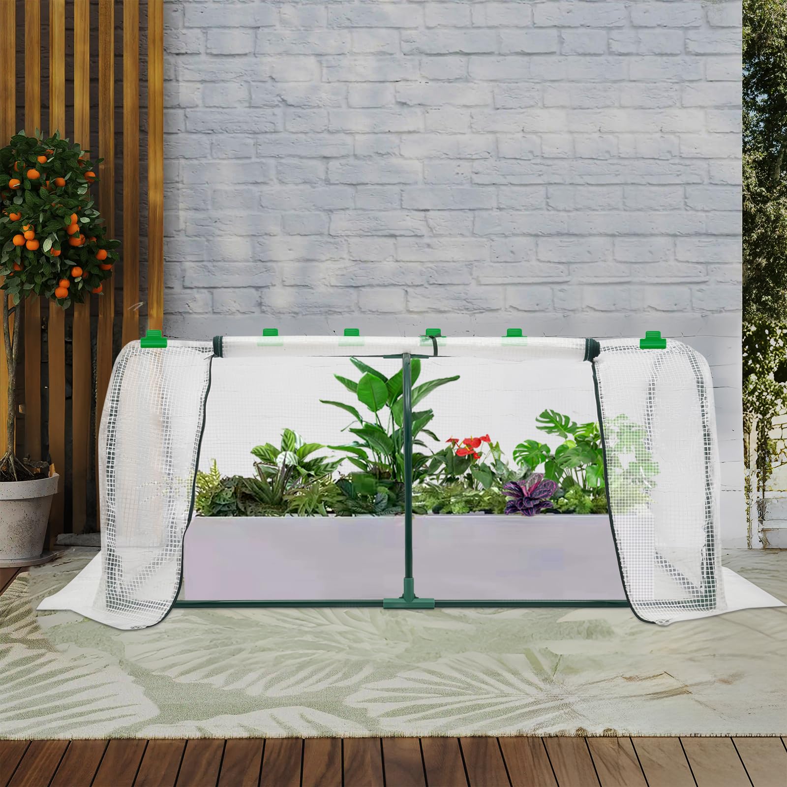 Serra piccola in pellicola, 120 x 60 x 50 cm, con 2 ante arrotolabili per balconi, terrazze, aiuole rialzate